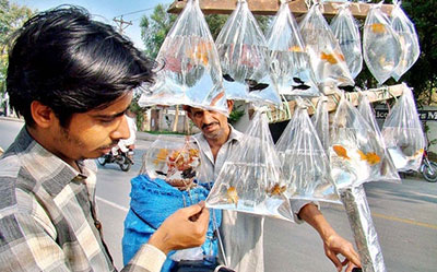 نوروز در آیینه ملل