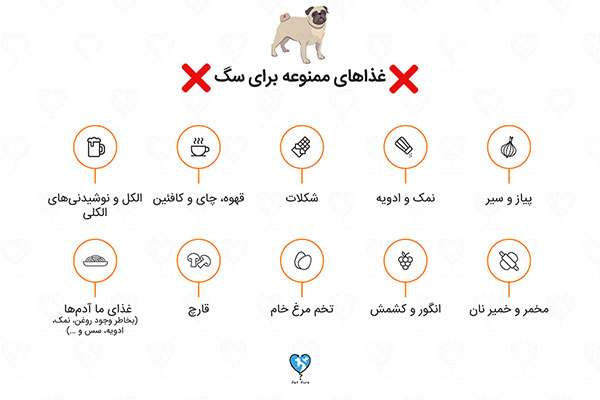 غذای ممنوعه برای سگ های خانگی