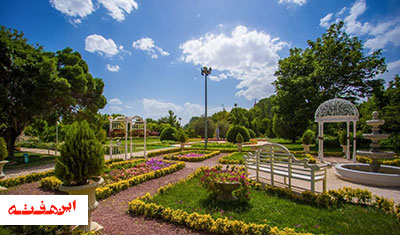 گرمای تابستان به درختان اصفهان شوک وارد کرده است